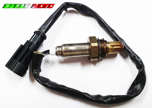 Sonda lambda harley - sonda,